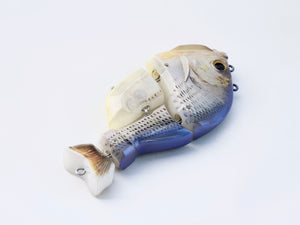 CASTELLANON［Regular Weight］-Gizzard Shad White Pearl-