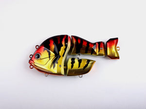 CASTELLANON［Regular Weight］-Perch Red Gold-