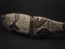 Load image into Gallery viewer, Spec of 278 PATIINO  - BOA CONSTRICTOR -