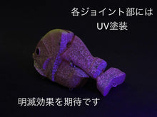 Load image into Gallery viewer, 【2026 TEST SAMPLE】CASTELLANON［Regular Weight］-2 Color-