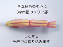 Load image into Gallery viewer, 【2026 TEST SAMPLE】CASTELLANON［Regular Weight］-2 Color-