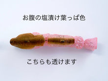 Load image into Gallery viewer, 【2026 TEST SAMPLE】CASTELLANON［Regular Weight］-2 Color-