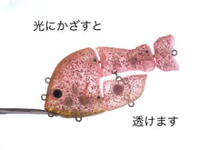 Load image into Gallery viewer, 【2026 TEST SAMPLE】CASTELLANON［Regular Weight］-2 Color-