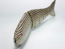 Load image into Gallery viewer, Spec of 343 DENIIRO -HOMALOPSIS BUCCATA (water snake subspecies) -