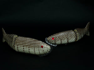Spec of 343 DENIIRO -HOMALOPSIS BUCCATA (water snake subspecies) -